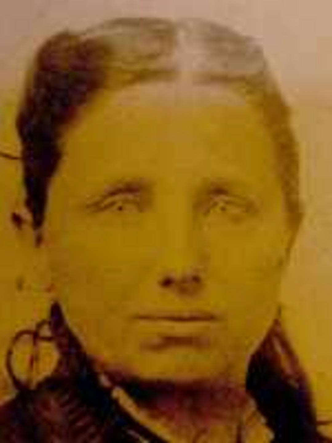 Harriett Sylvania Beal (1837 - 1901) Profile